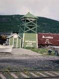 nenana ice pool-2